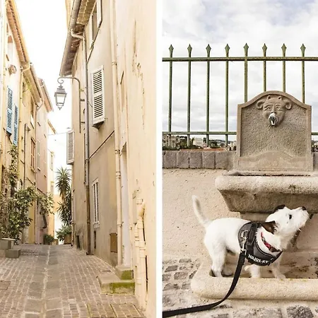 Suquet Avec Parking Apartment *