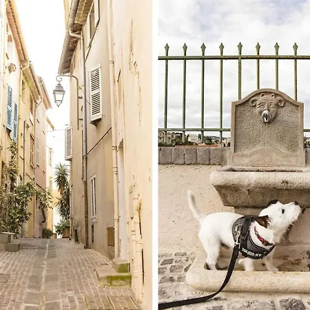 Suquet Avec Parking Apartmán *